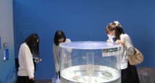 【写真】