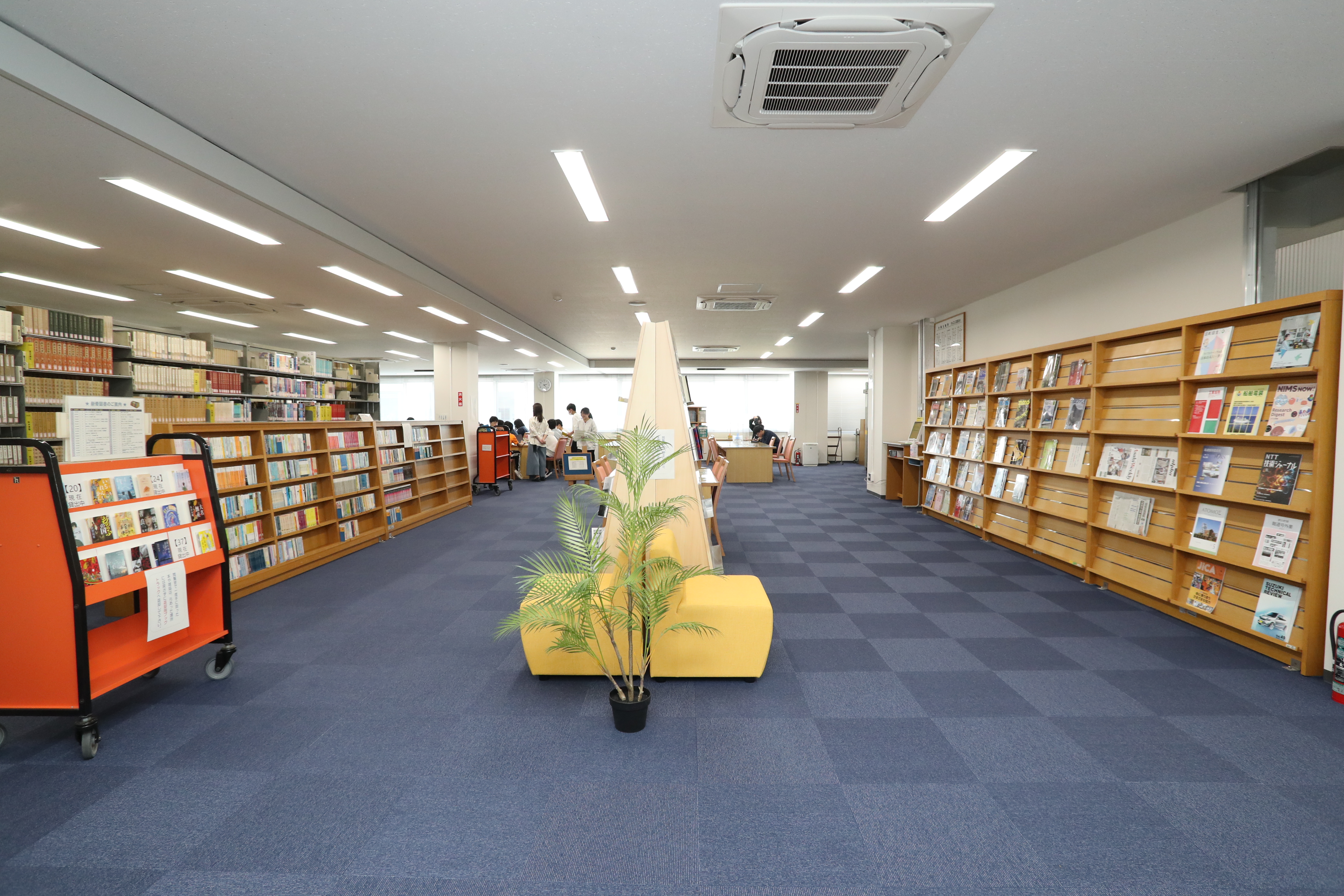 図書館2