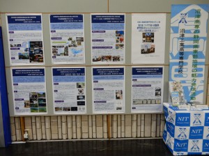 展示の様子