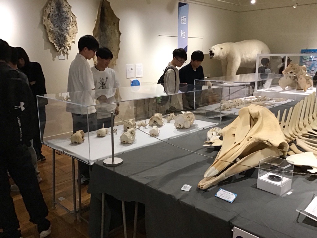 2年生特別研修・地球環境史ミュージアム