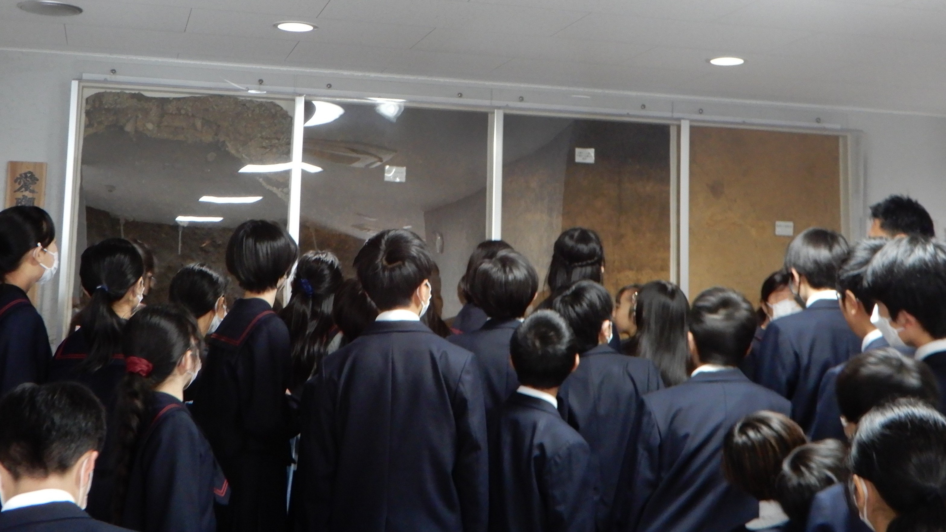 愛鷹ローム層の標本