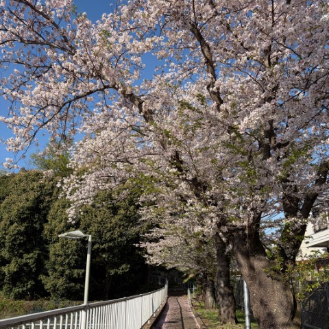物質工学科長 古川 一実