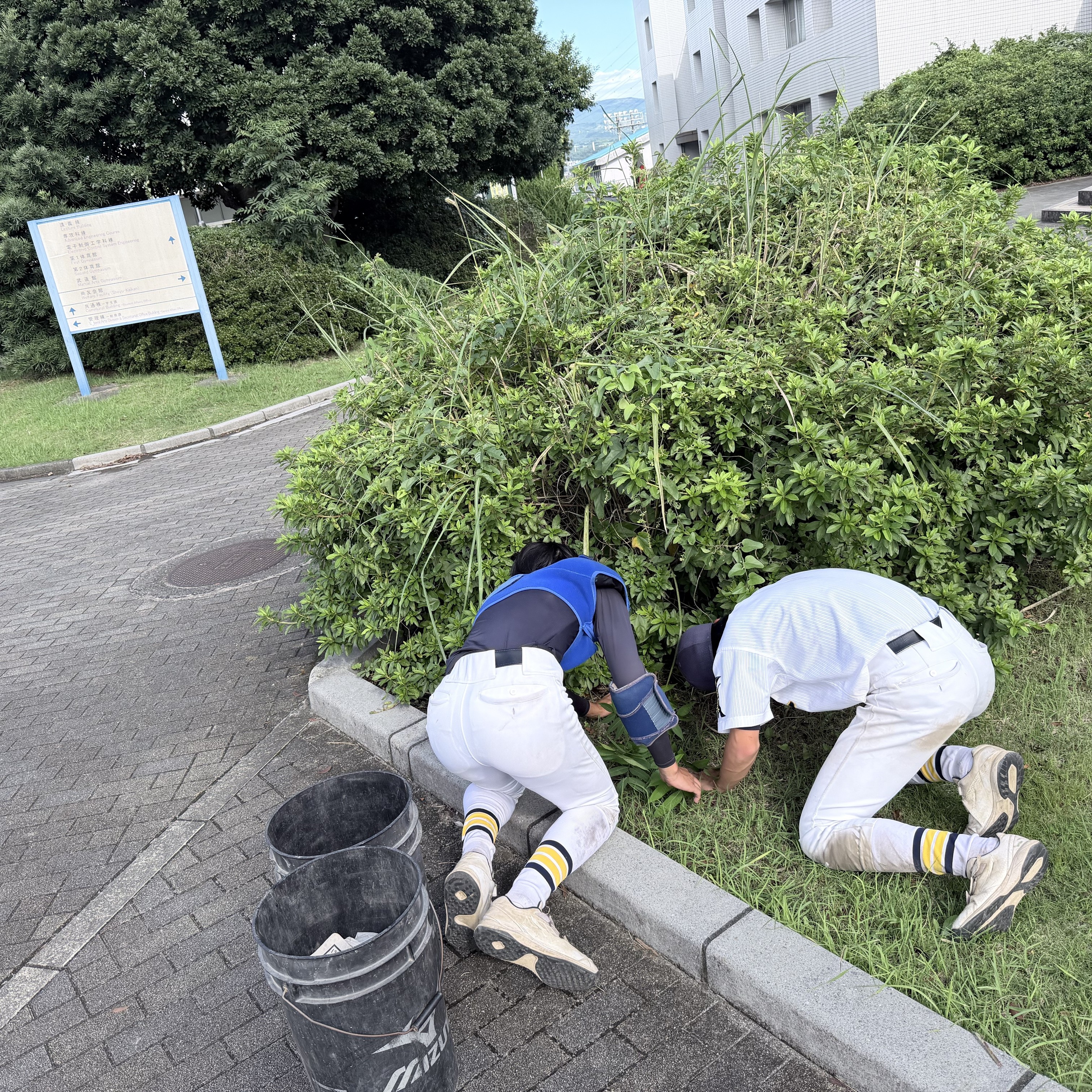 野球部清掃活動