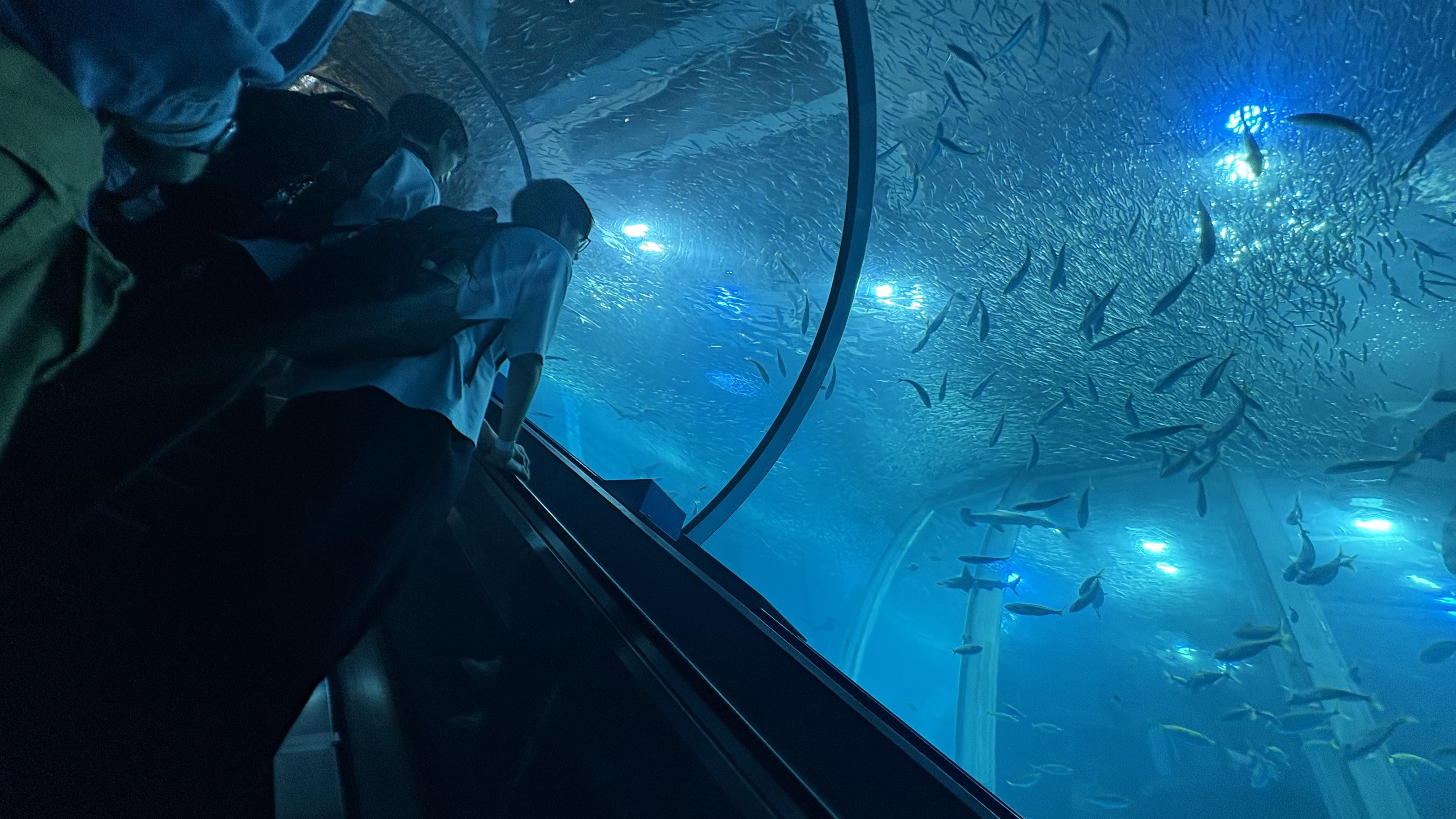 2026年 2年生特別研修